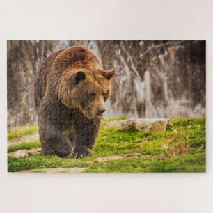Puzzle Enorme Oso Grizzly En El Animal Salvaje