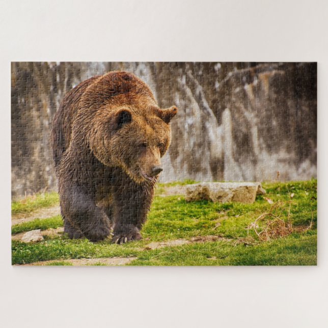 Puzzle Enorme Oso Grizzly En El Animal Salvaje (Horizontal)