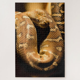 Puzzle Enorme serpiente salvaje