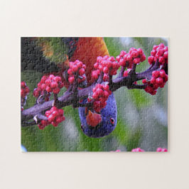 Puzzle Entrando para un bocadillo - Rainbow Lorikeet