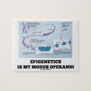 Puzzle Epigenetics es mi modus operandi (los mecanismos)