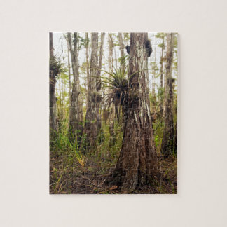 Puzzle Epiphyte Bromeliad en el bosque de la Florida