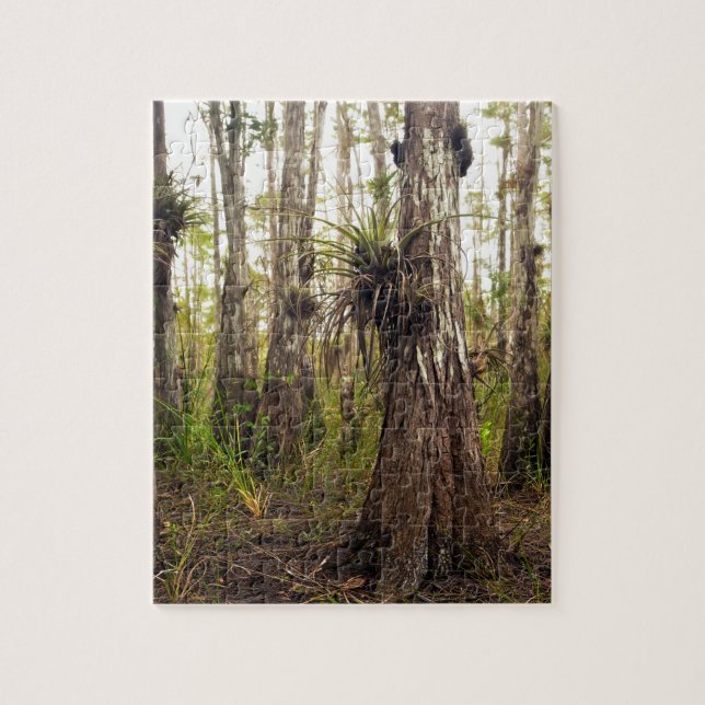 Puzzle Epiphyte Bromeliad en el bosque de la Florida (Vertical)