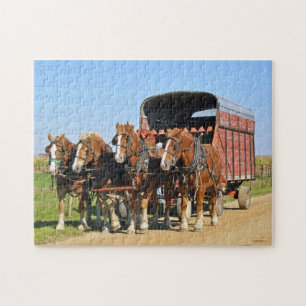 Puzzle Equipo de Amish de cuatro