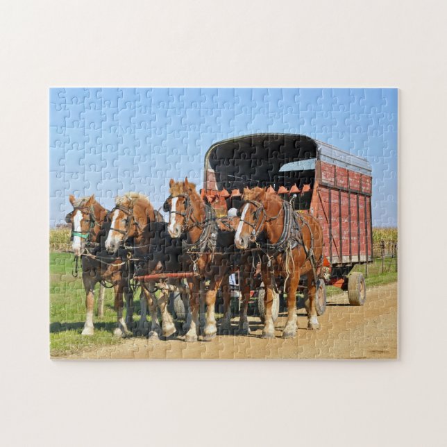 Puzzle Equipo de Amish de cuatro (Horizontal)
