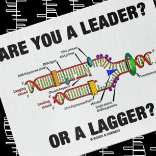 Puzzle ¿Eres Un Líder? ¿O Un Lagger? Humor de ADN geek