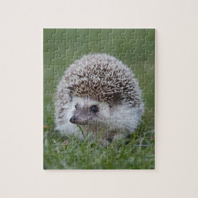 Puzzle Erizo (Vertical)
