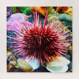 Puzzle Erizo de mar