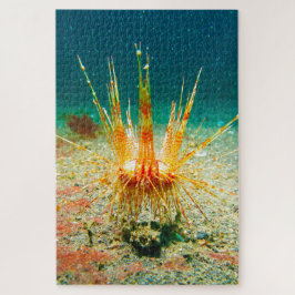 Puzzle Erizo de mar
