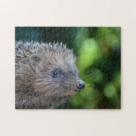 Puzzle Erizo pequeño