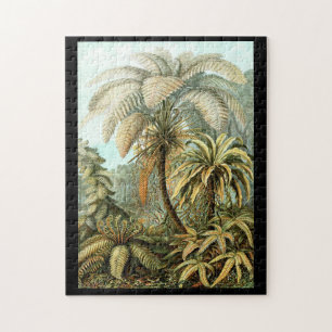 Puzzle Ernst Haeckel Filicinae