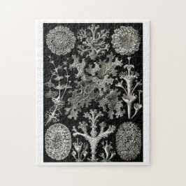 Puzzle Ernst Haeckel Lichens