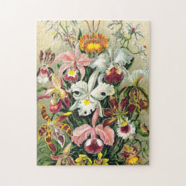 Puzzle Ernst Haeckel - Orchids