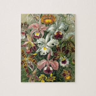 Puzzle Ernst Haeckel Orquídeas, Flores Vintage de la selv