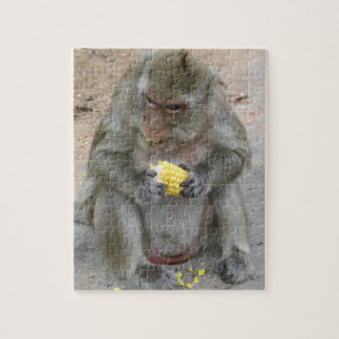Puzzle ¡Es mío! ... Mono Macaque tailandés salvaje