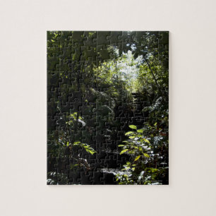 Puzzle Escalera/sendero rústicos en el bosque, luz del