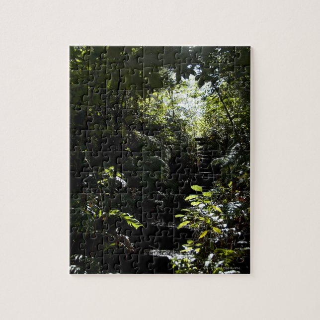 Puzzle Escalera/sendero rústicos en el bosque, luz del (Vertical)