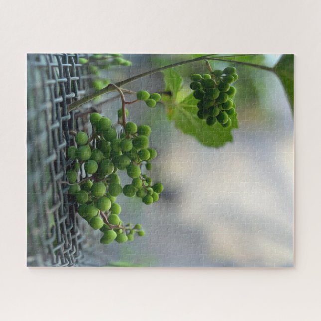 Puzzle Escapar de la valla (Horizontal)