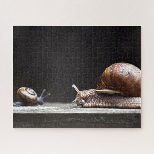 Puzzle Escargots - Mollusk de caracol (Horizontal)