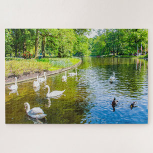 Puzzle Escena con cisnes del parque Keukenhof, Países Baj