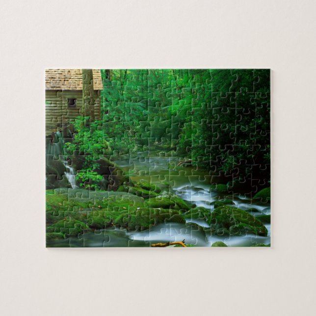 Puzzle Escena de Creek Forestal exuberante del rompecabez (Horizontal)