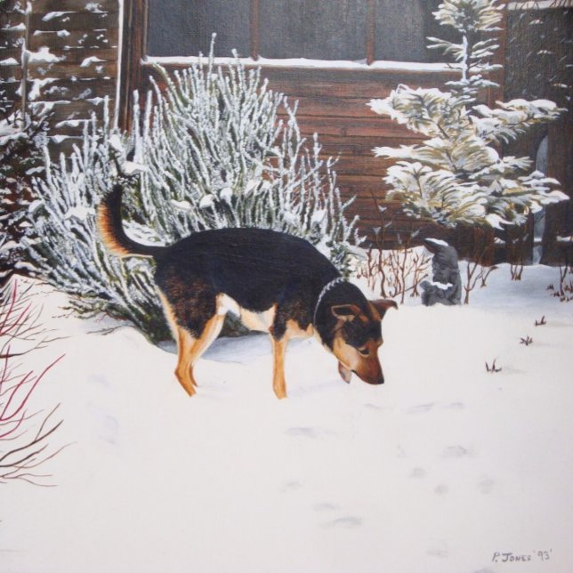Puzzle Escena de nieve de invierno con perro negro lindo  (Subido por el creador)
