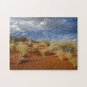 Puzzle Escena del desierto de Kalahari, Kgalagadi Transfr