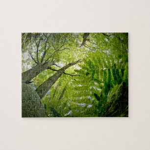 Puzzle Escena forestal en el Parque Nacional Acadia, Main