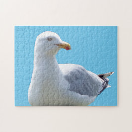 Puzzle Escena natural de ave costera de gaviota descansan