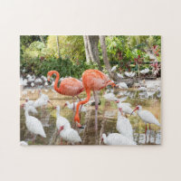 Escenario de flamencos rosados de Florida tropical