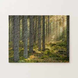 Puzzle Escenas asombrosas de 11" x 14"