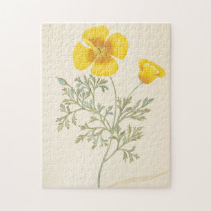 Puzzle Eschscholtzia californiano