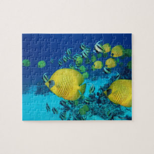 Puzzle Escuela de la natación de los pescados de la