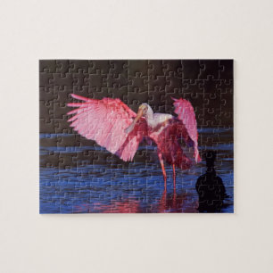 Puzzle Espátula rosada (Ajaia ajaja) con cormorán