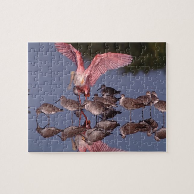 Puzzle Espátula rosada con zarapitos en aguas poco profun (Horizontal)