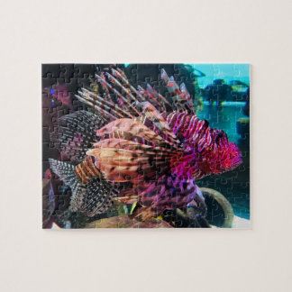 Puzzle Espectacular Lionfish