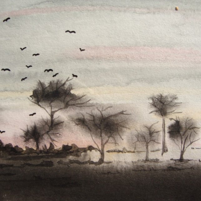 Puzzle Espectaculares árboles de bosques negros paisaje d (Subido por el creador)