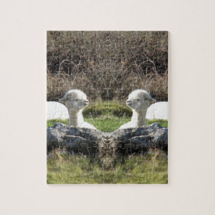 Puzzle Espejo de la alpaca