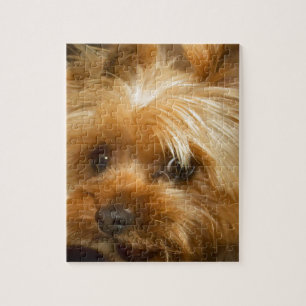 Puzzle Espere el terrier del yorkie del perro del haley