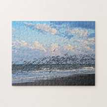 Espinadores negros despegan en la playa de Cabo Ca