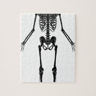 Puzzle Esqueleto humano de la anatomía