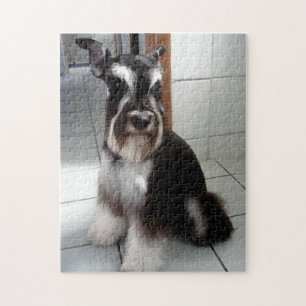 Puzzle Estaciónes en miniatura de Schnauzer negro y plate