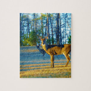 Puzzle Estadio/Deer Buck, cielo azul brillante
