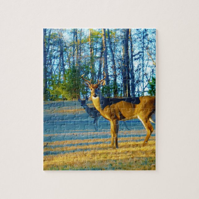 Puzzle Estadio/Deer Buck, cielo azul brillante (Vertical)