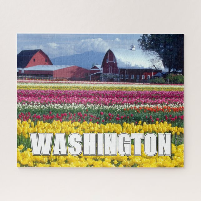Puzzle Estado de Washington | Campo de Tulipanes (Horizontal)