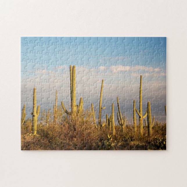 Puzzle Estados Unidos, Arizona, Parque Nacional Saguaro,  (Horizontal)