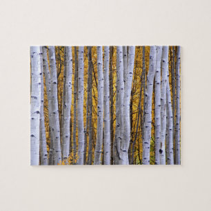 Puzzle Estados Unidos, Colorado, Montañas Rocosas. Escen