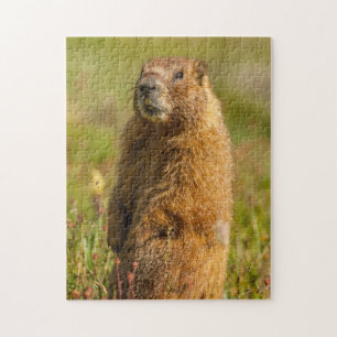 Puzzle Estados Unidos, Colorado, Montañas San Juan