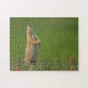 Puzzle Estados Unidos, Dakota del Sur, Parque Estatal Cus