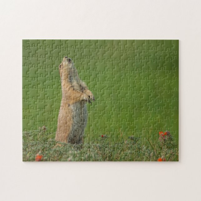 Puzzle Estados Unidos, Dakota del Sur, Parque Estatal Cus (Horizontal)